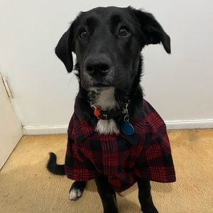 Meet your Posher, Virginia ann